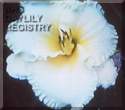 Martini AHS image