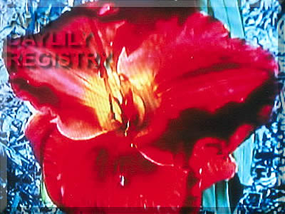 Red Shield AHS image
