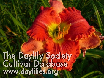Dieppe AHS image