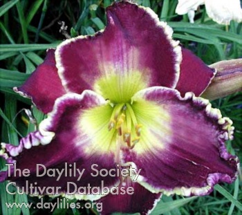 Victorian Garden Twilight Time AHS image