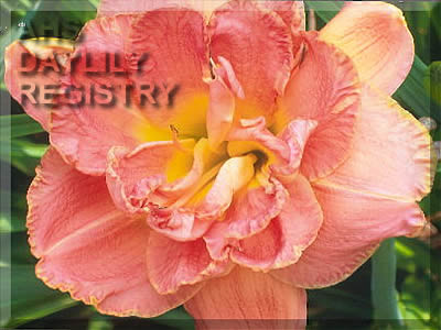 Lovely Glance AHS image