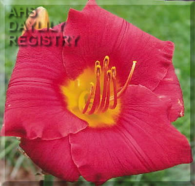 Sergeant David Fagan AHS image