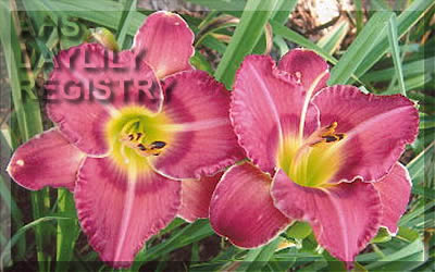 Ruth Ann and Jennifer Jane AHS image