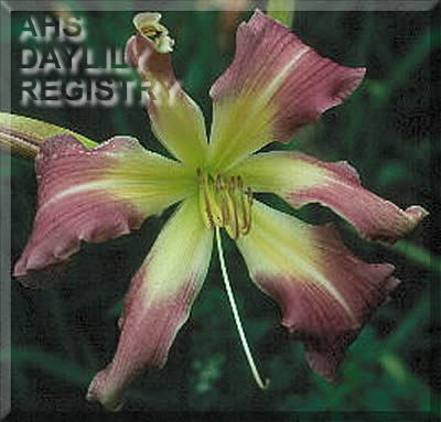 Out of the Mist AHS image
