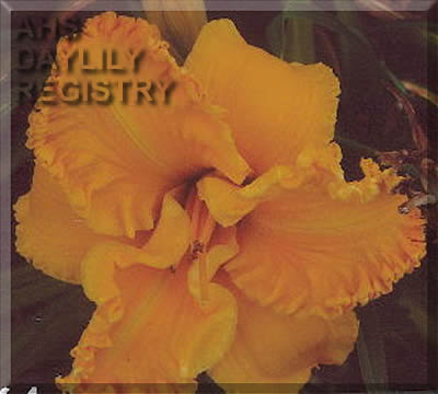 Okanagan Gold AHS image