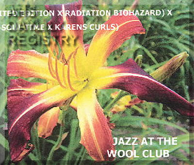 Jazz at the Wool Club AHS image