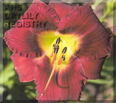 Gulf Coast Charlie AHS image