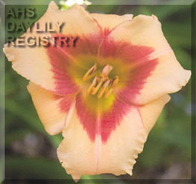 Gulf Coast Poco AHS image