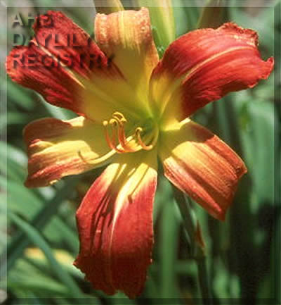 Mission Refugio AHS image