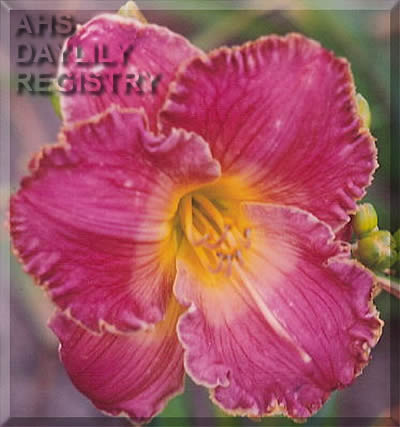 Morawy AHS image