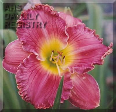 Polesie AHS image