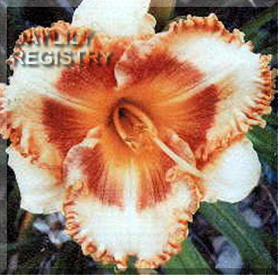 Pardon My Garden AHS image