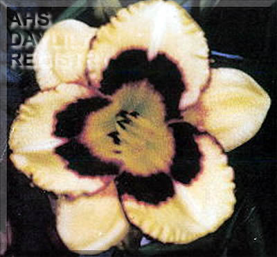Buffalo Gap AHS image