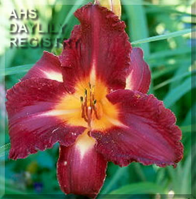 Hans Overbagh AHS image