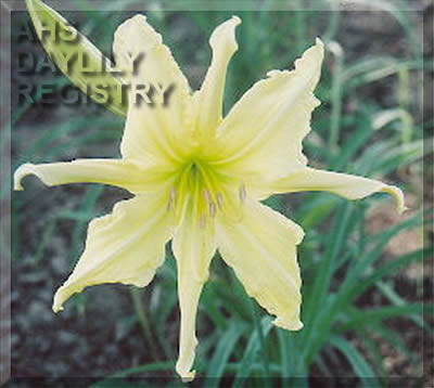 Mont Royal Spirit AHS image