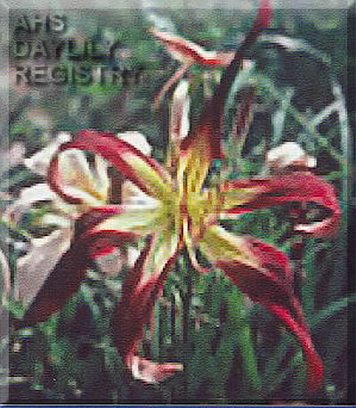 John Sheehan AHS image