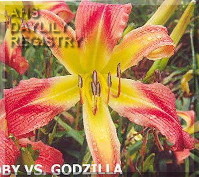 Toby Vs Godzilla AHS image