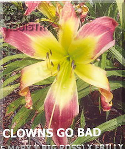 When Clowns Go Bad AHS image