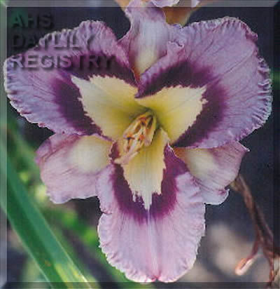 Sceau De L'Ange AHS image
