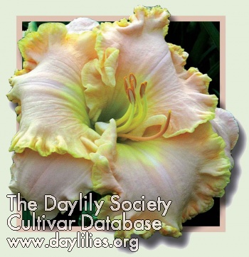 Lady of Hope AHS image