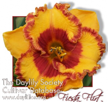 Fiesta Flirt AHS image