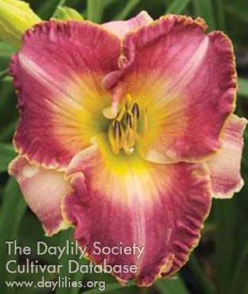 Highway of Heroes AHS image