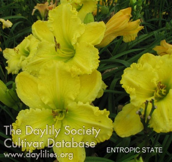 Entropic State AHS image