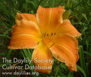 Rural Charm AHS image