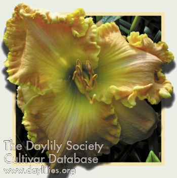 Orange Lake AHS image