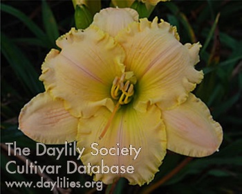 Zing, It's Spring AHS image