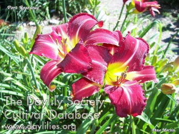 Port Roseway AHS image