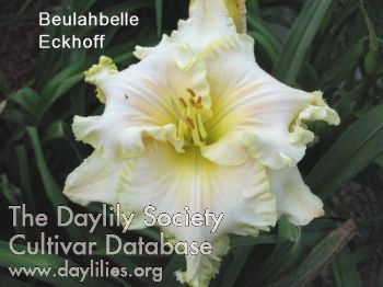 Beulahbelle Eckhoff