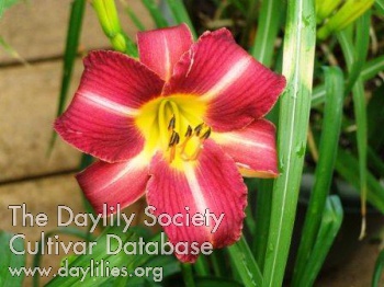 Mary Beth's Magic AHS image