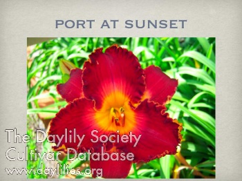 Port at Sunset