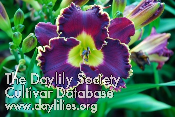 Dark Prince AHS image