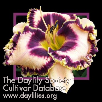 A Few Good Men image