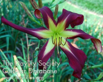 Jeffrey See AHS image