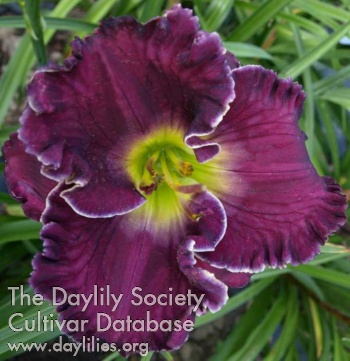 Victorian Garden After Sundown AHS image