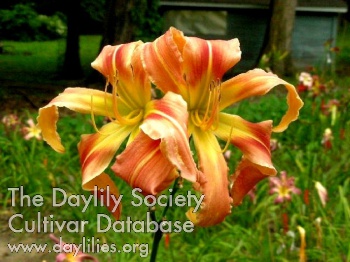 Gary D. Ball AHS image