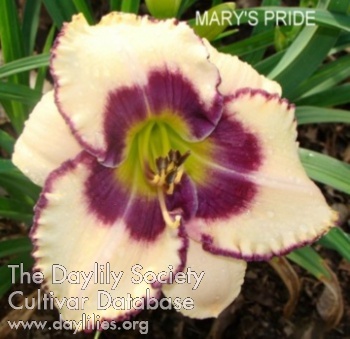 Mary's Pride