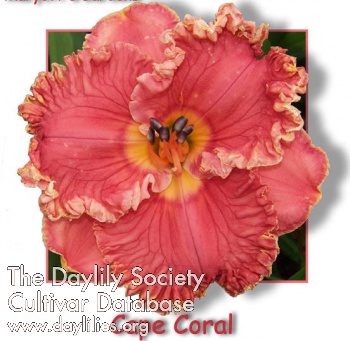 Cape Coral AHS image