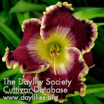 Derby Day AHS image