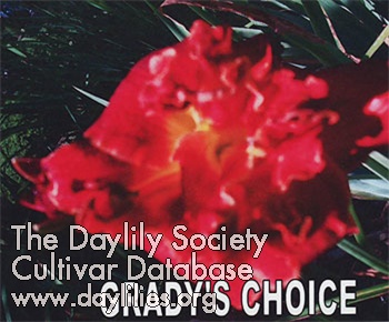 Grady's Choice
