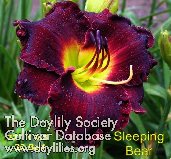 Sleeping Bear AHS image