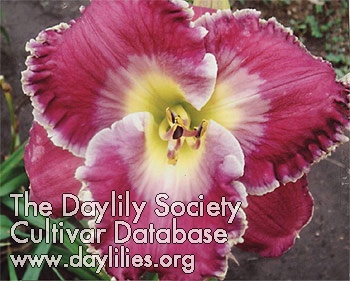 Mary Ann Lovell AHS image
