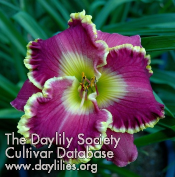 Zephyr Cove AHS image