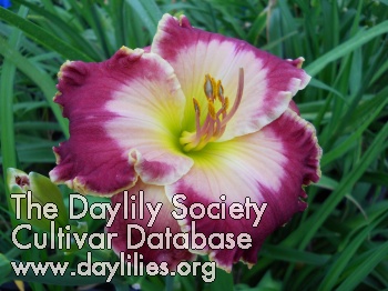 Marilyn deBoer Smith AHS image