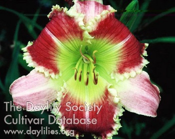 Super Redhawk AHS image