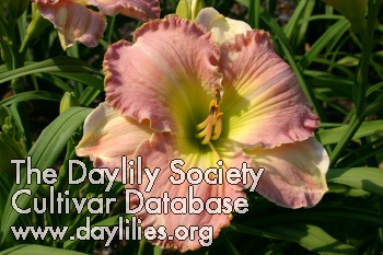 Pinky Tuscadero AHS image