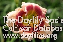 Eyed for Success AHS image